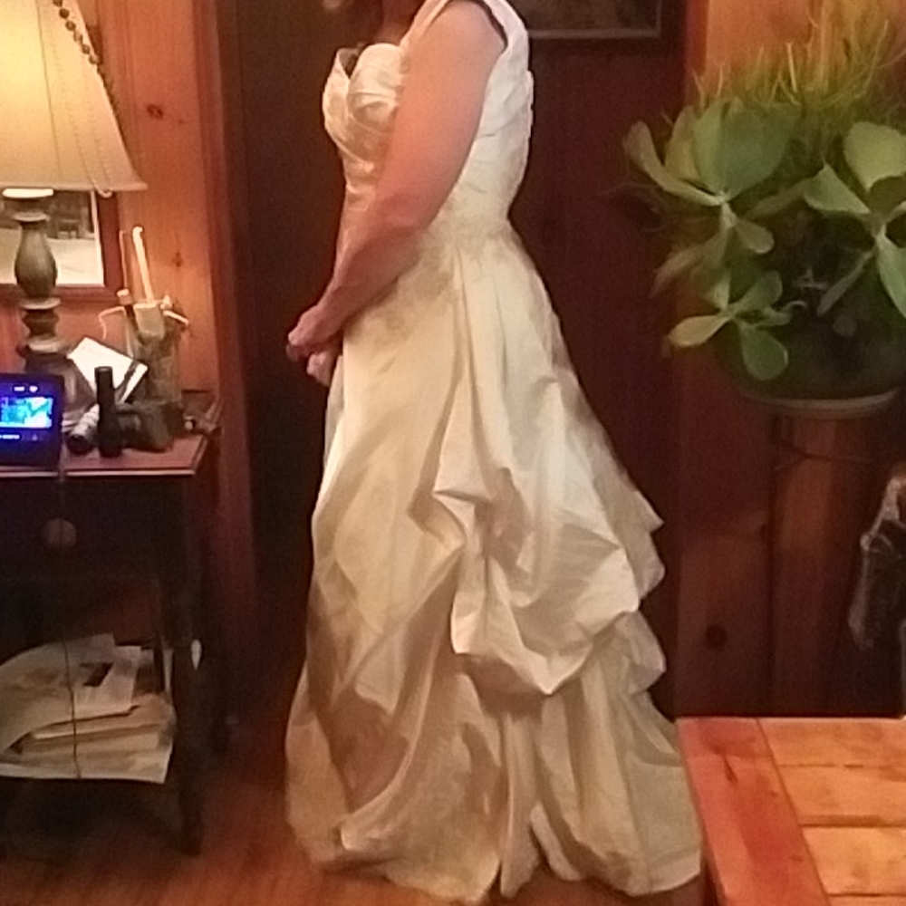 David's bridal dress